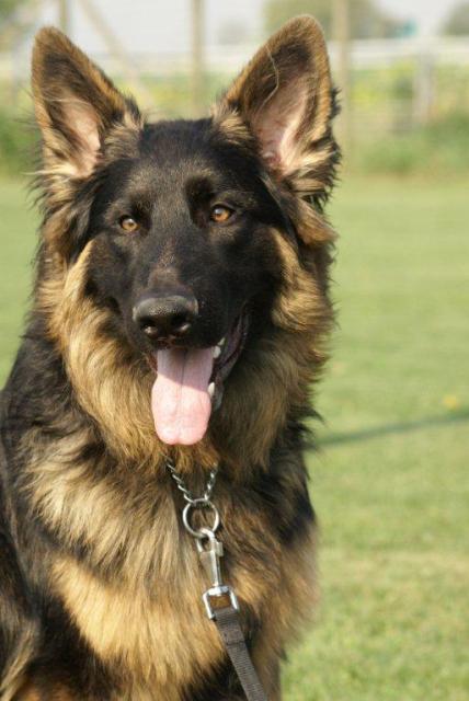 Fotos/2010vervolgTaylor/Cliff/DSC03634[1].jpg